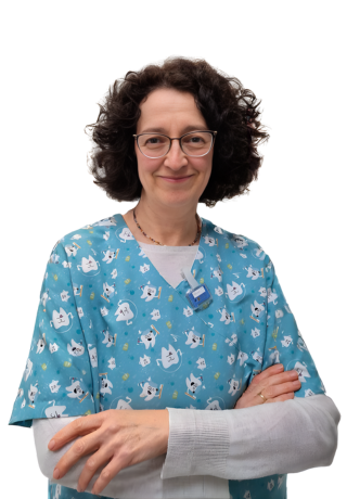dentista lucia
